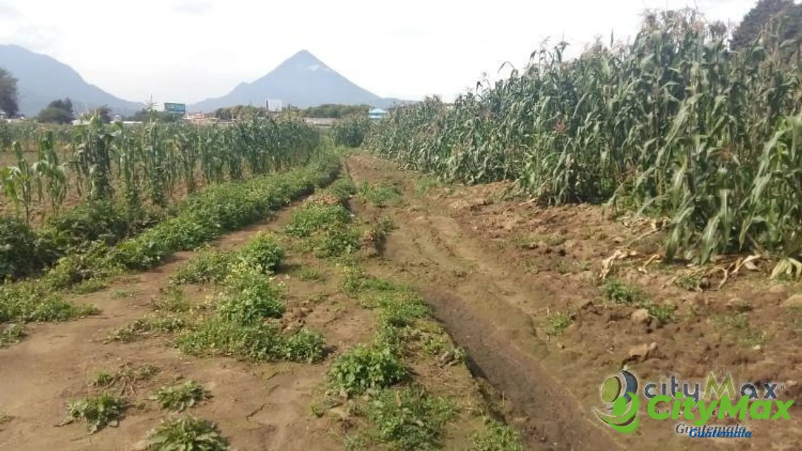 TERRENO de 75 cuerdas en VENTA en Quetzaltenango - foto 10