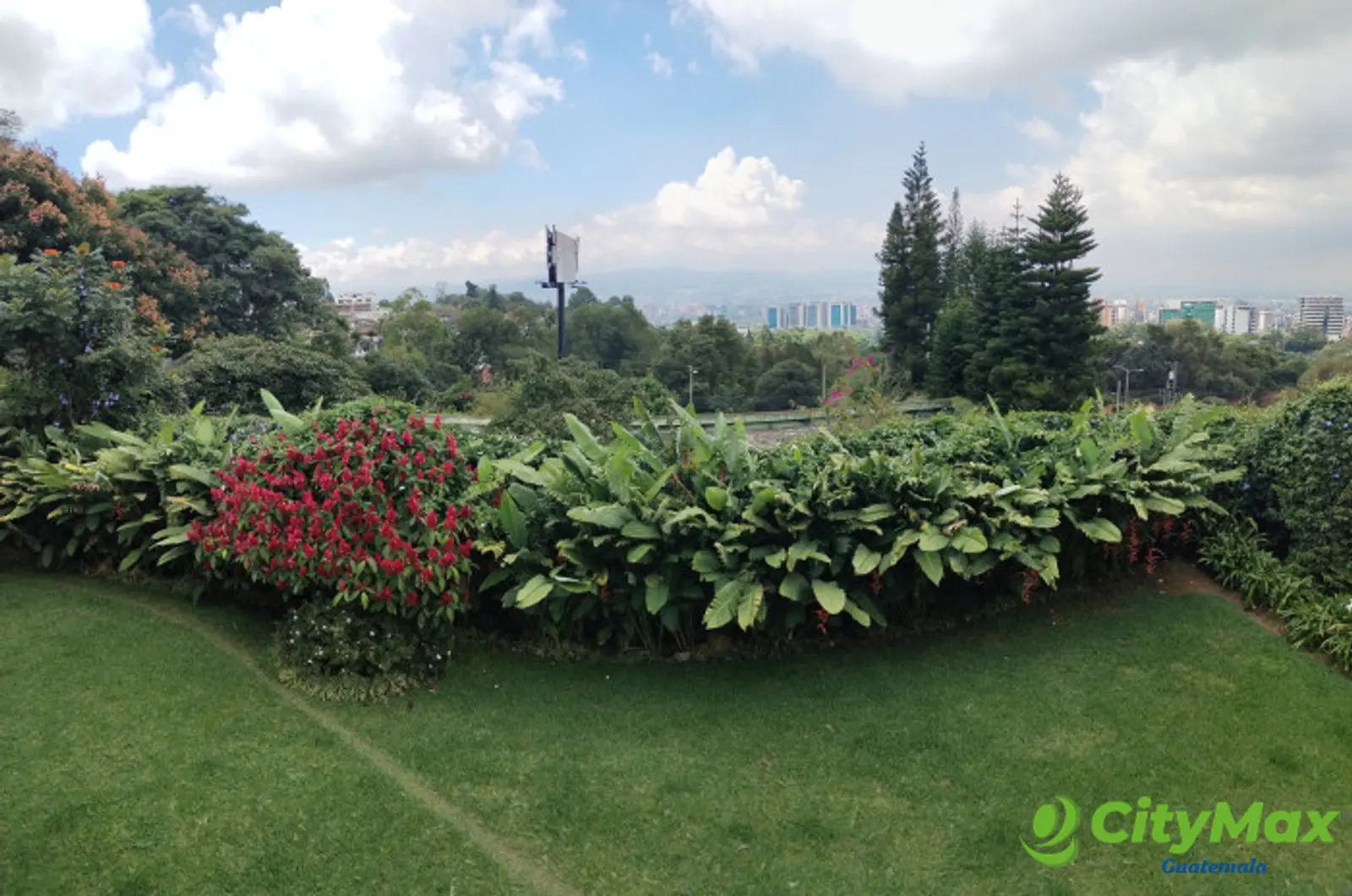 En Renta casa en San Rafael cerca Vista Hermosa - foto 11