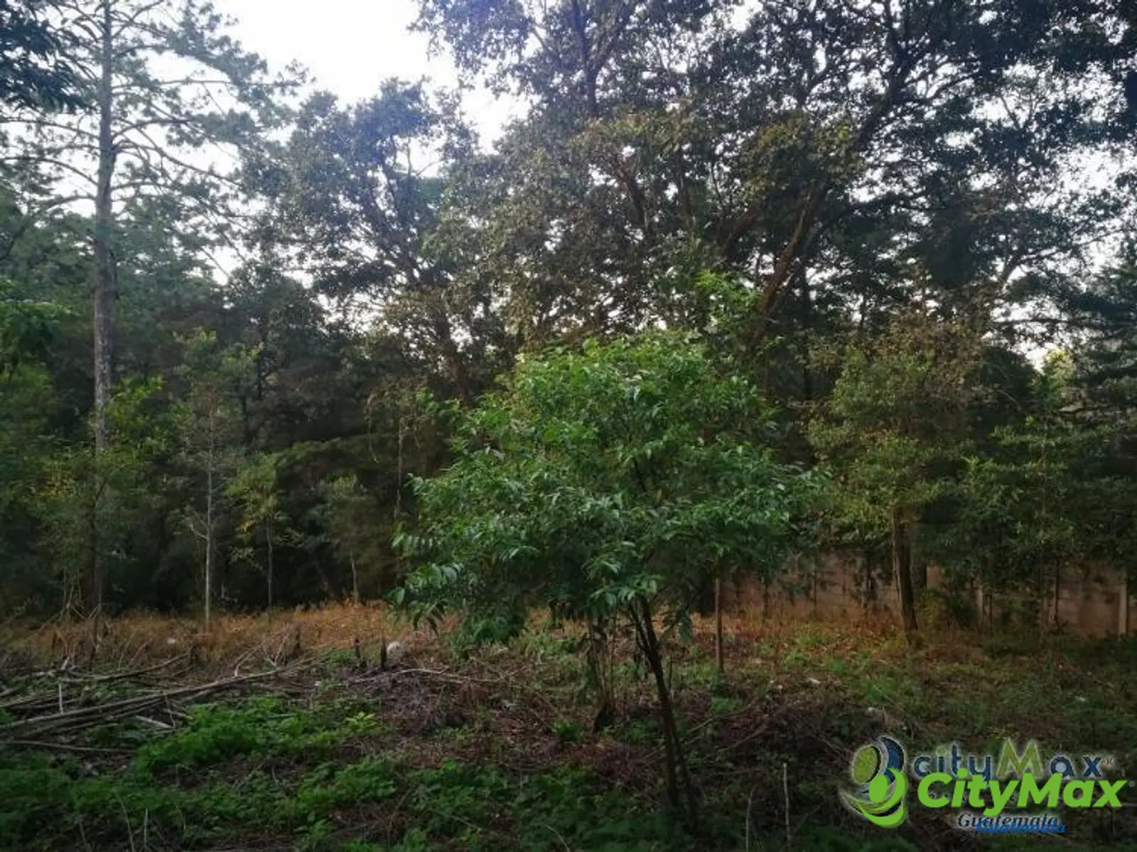 Terreno residencial en venta en Los Pinos Mixco zona 7 - foto 12