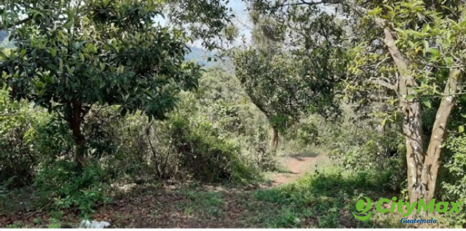 Finca en Venta en Fraijanes Guatemala - foto 5
