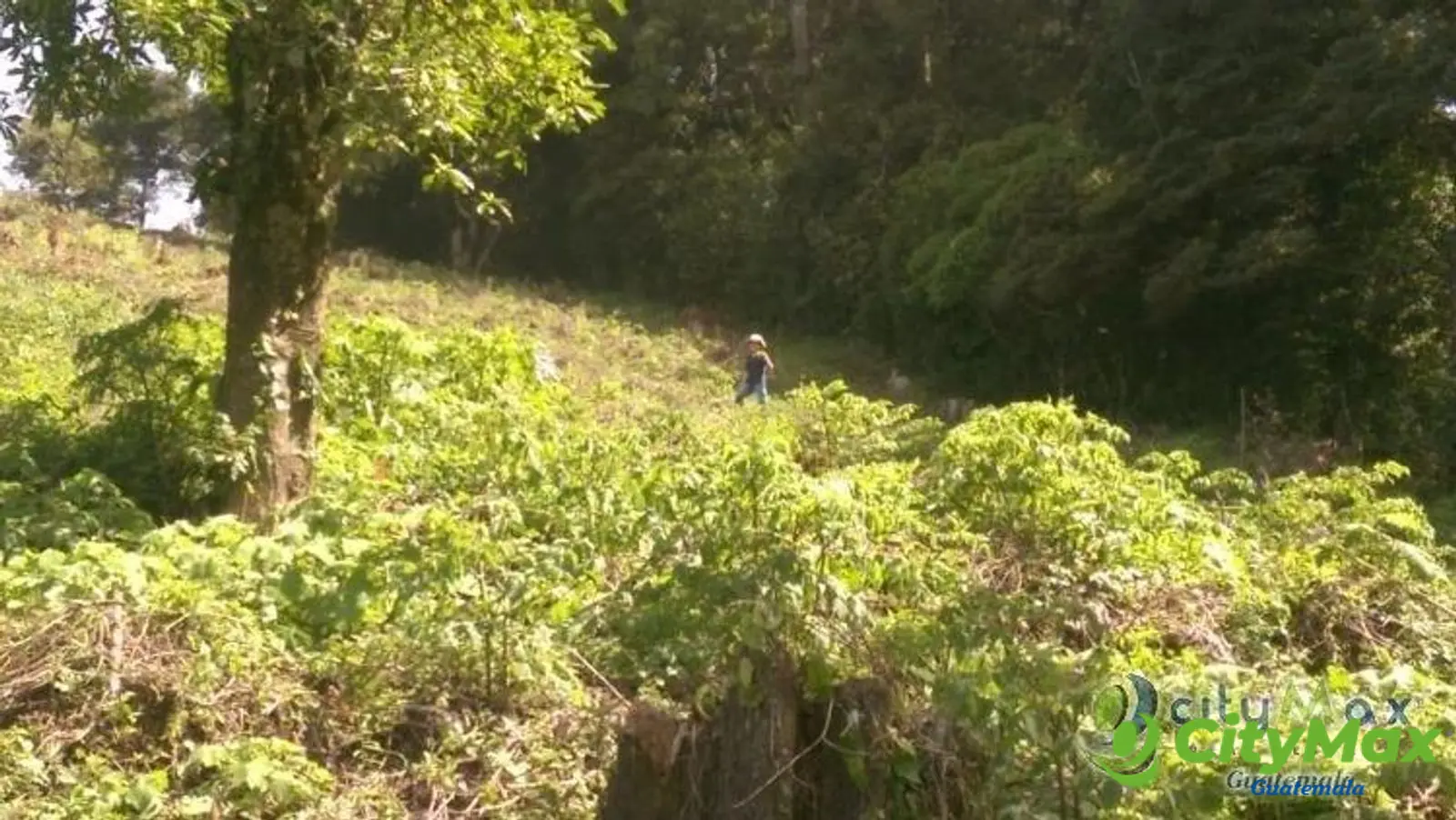 Terreno en Venta para desarrollar cienaga grande - foto 3