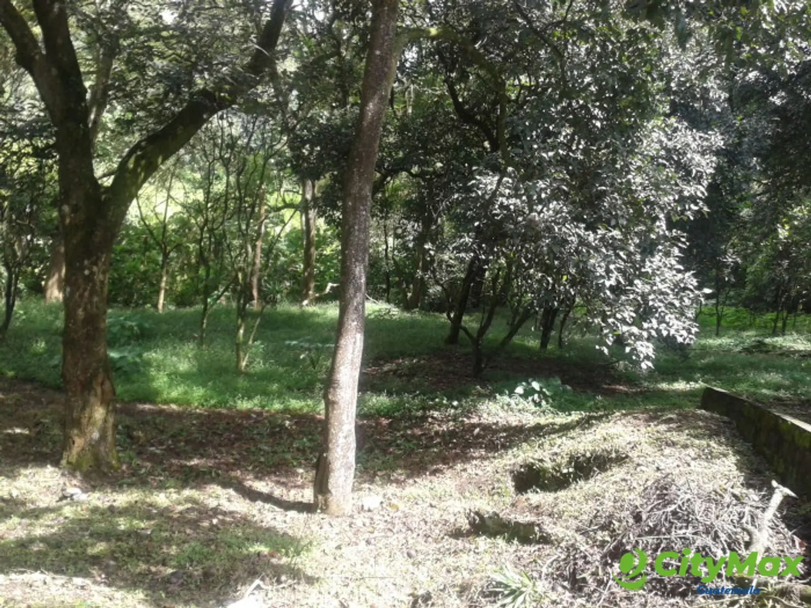 En venta terreno en zona 15 Colonia Trinidad - foto 11