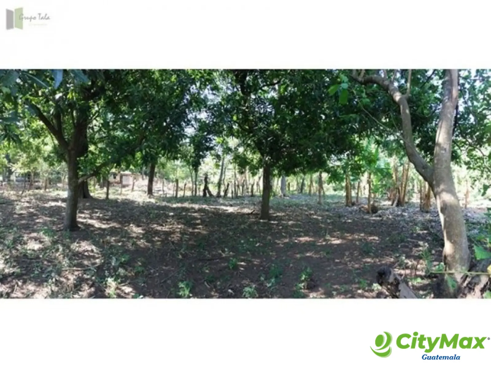 Finca en Venta en Guanagazapa Escuintla - foto 4