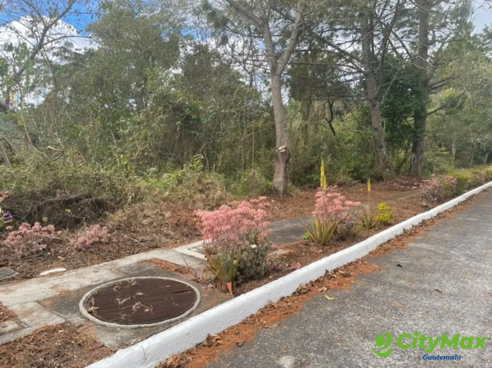 Terreno en Venta en Alta Vista Country Club - foto 4