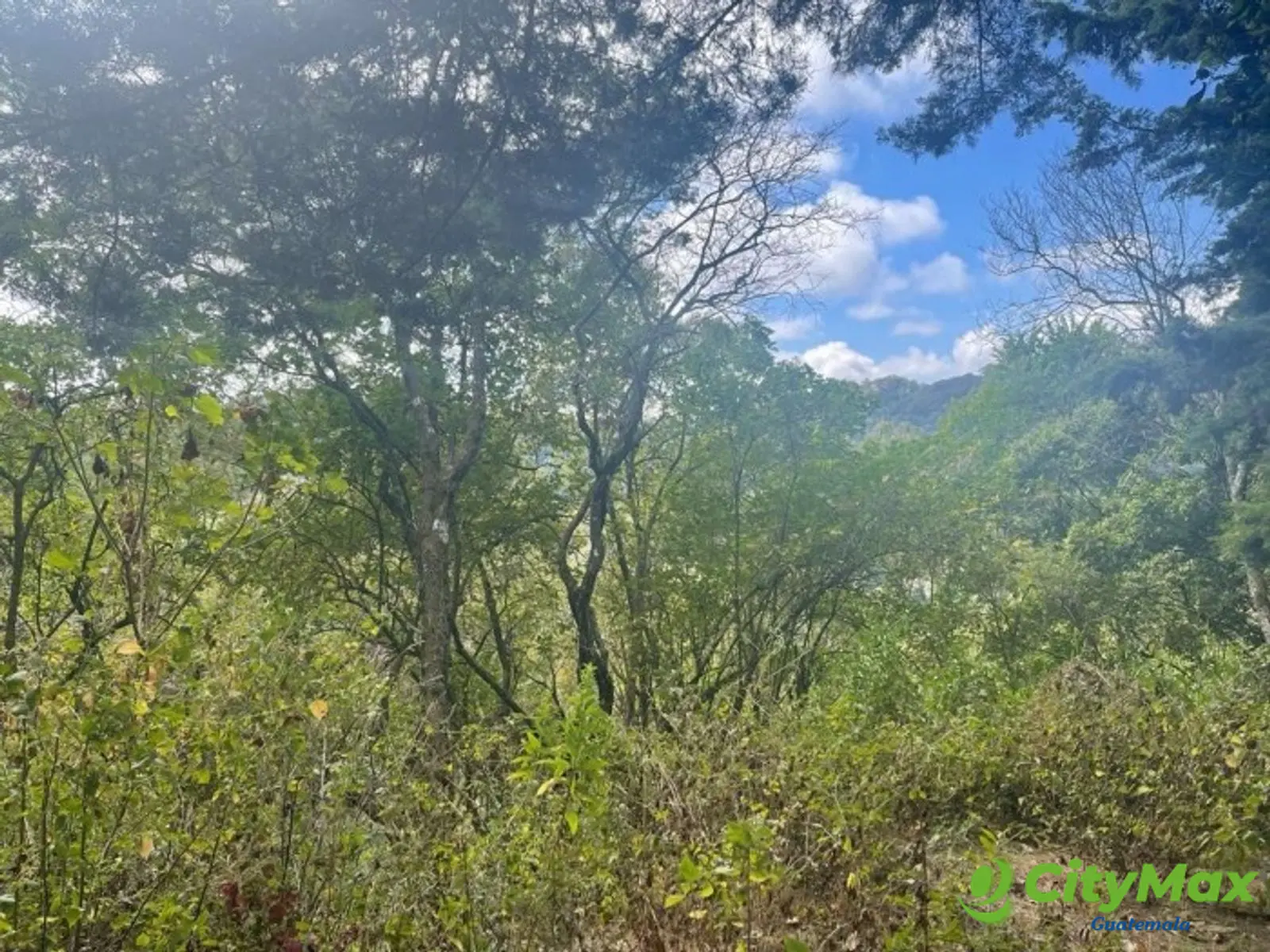 Terreno en Venta en Granja Buenos Aires - foto 5