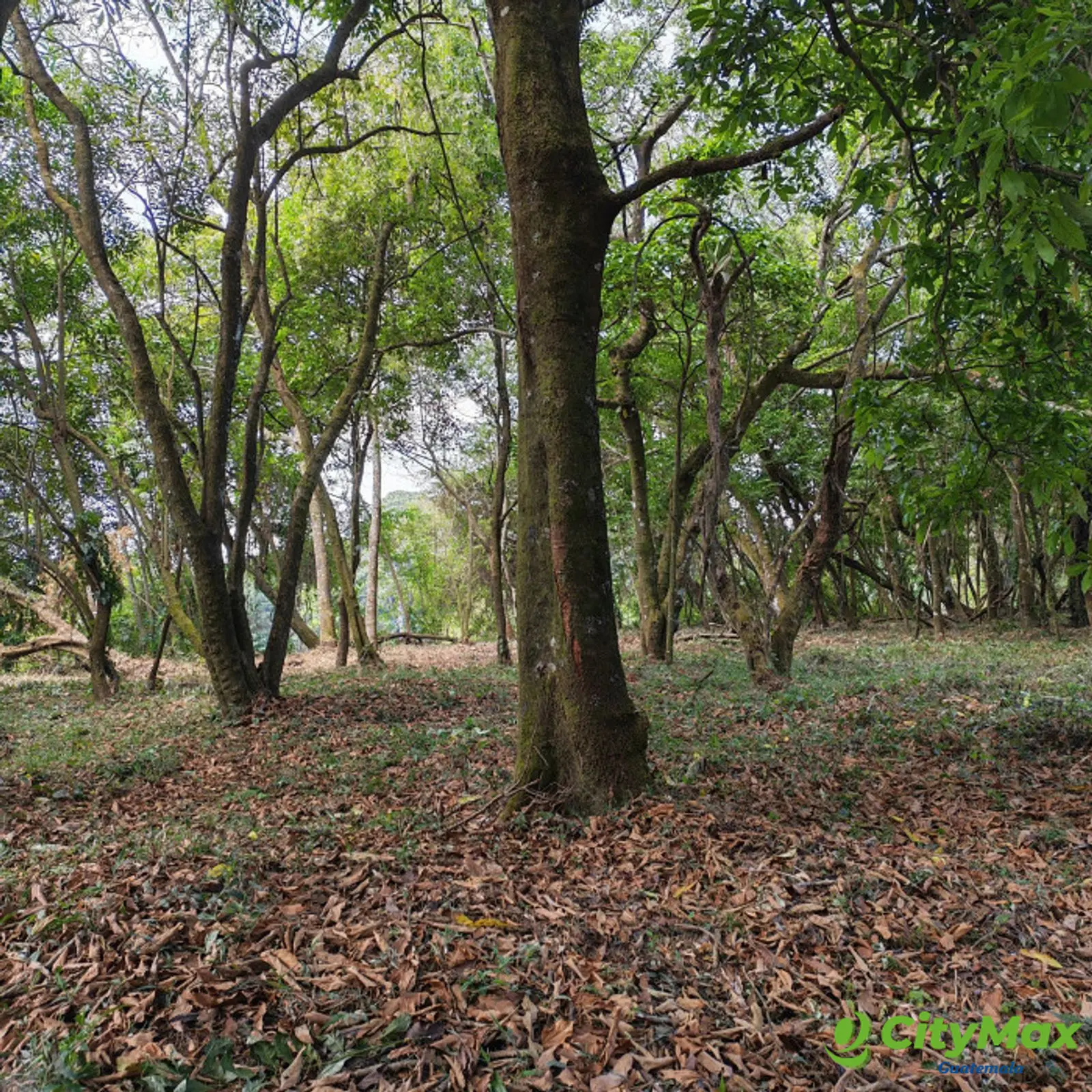 En Venta Terreno en Casa & Campo Guatemala - foto 5