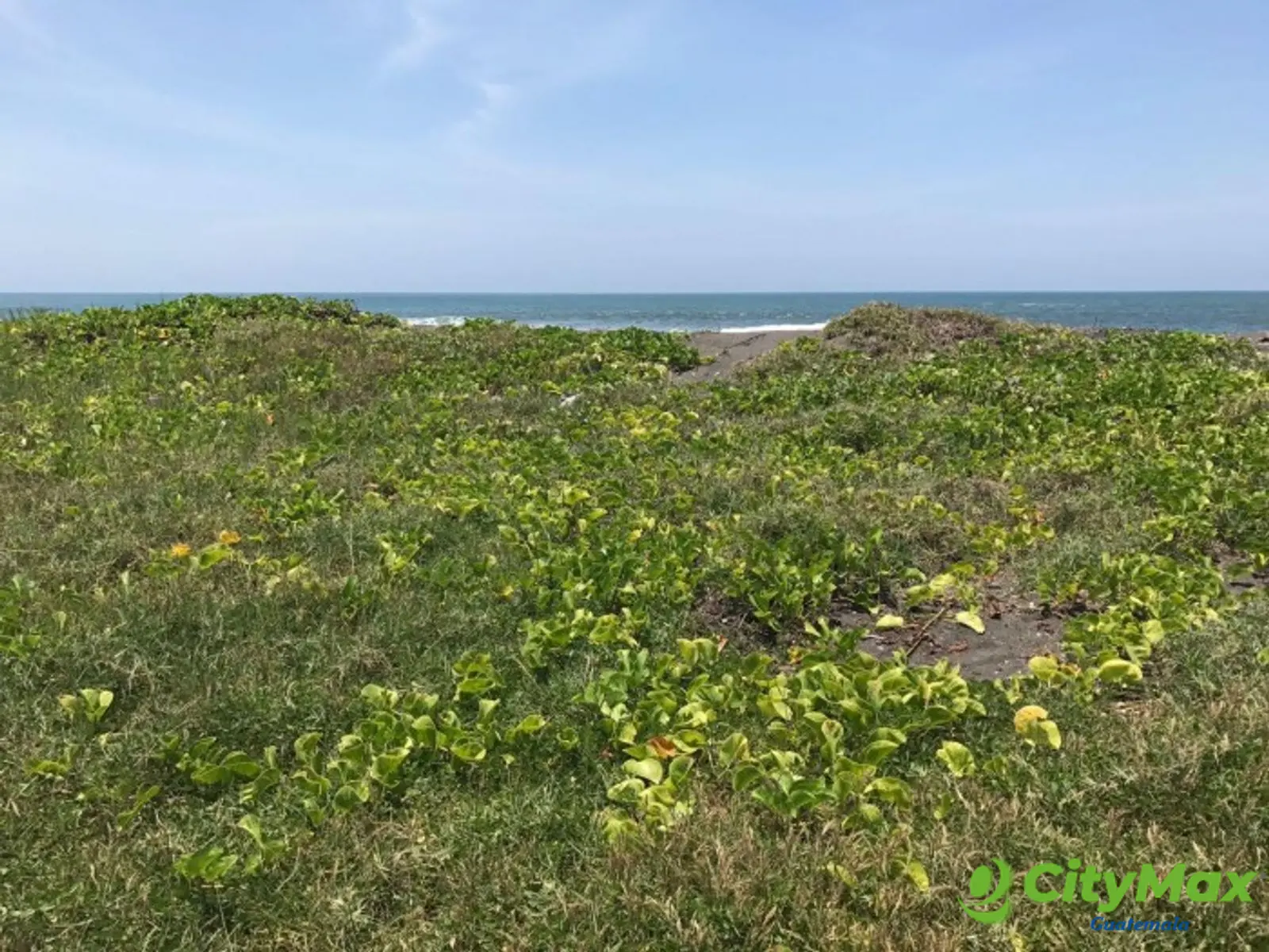VENDO TERRENO VACACIONAL EN PLAYA RAMA BLANCA SIPACATE - foto 6