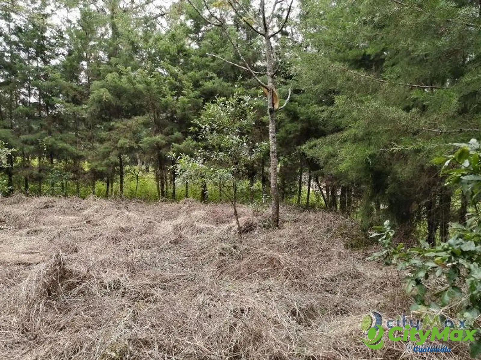 Terreno En Venta Los Horizontes Santo Domingo Xenacoj - foto 7
