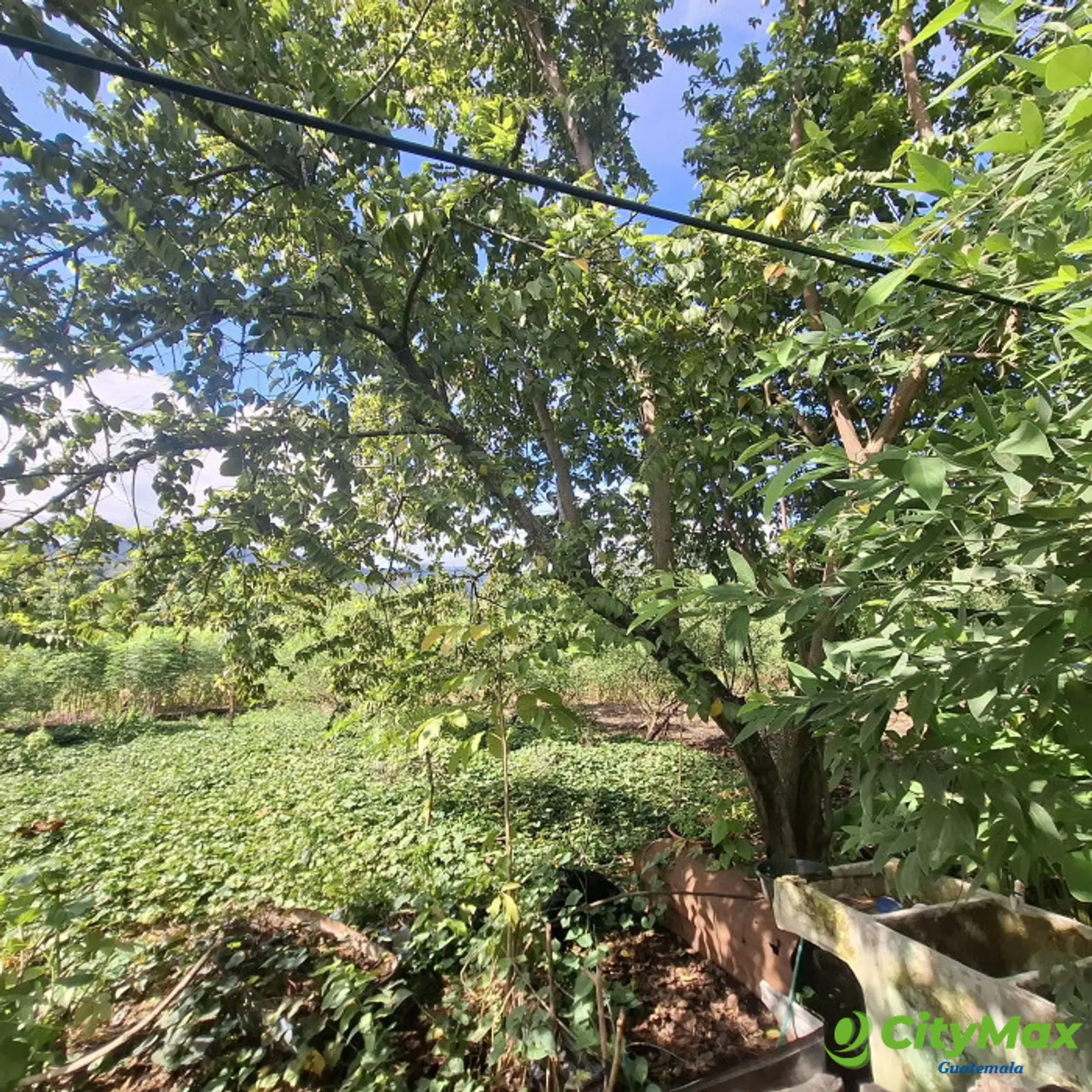 Terreno En Venta En El Estor Izabal Guatemala - foto 3