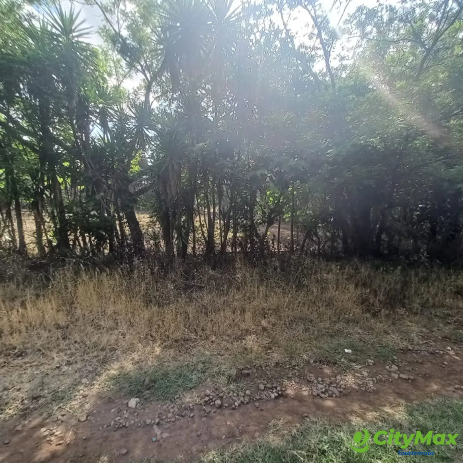 Terreno en venta Granjas Valle de Montebello/vas - foto 8