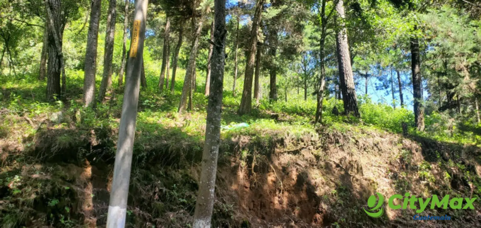 Rancho Verde Fraijanes Lote en venta - foto 5