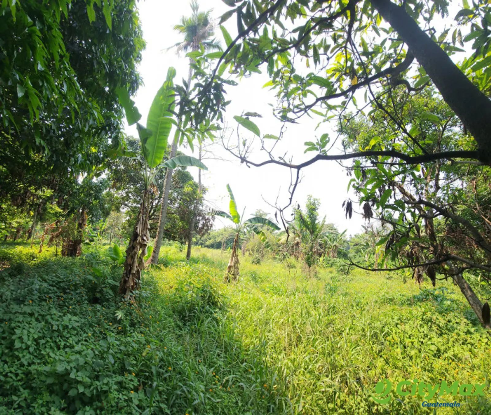 En Venta finca +40Mil Varas en el Km. 78 Ruta CA-2 - foto 15
