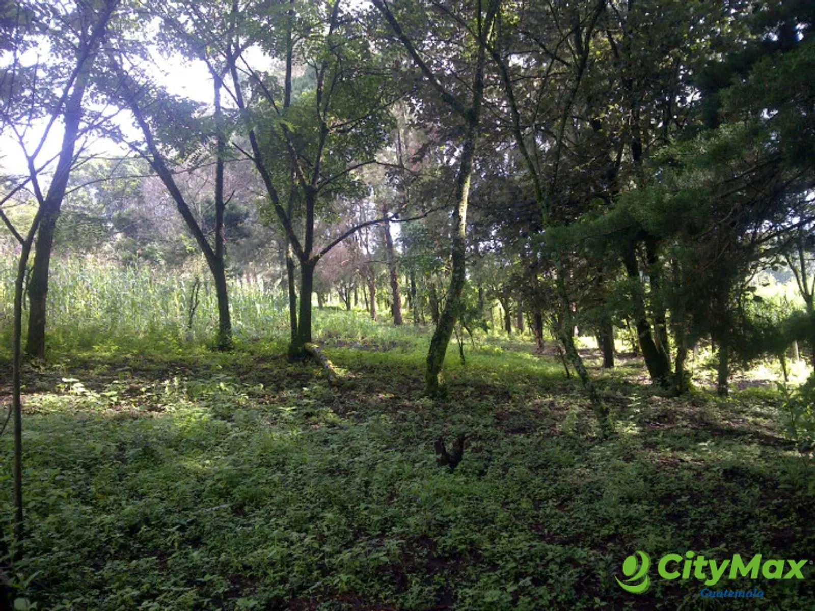 Se renta terreno de 2 manzanas Carretera al Salvador - foto 8