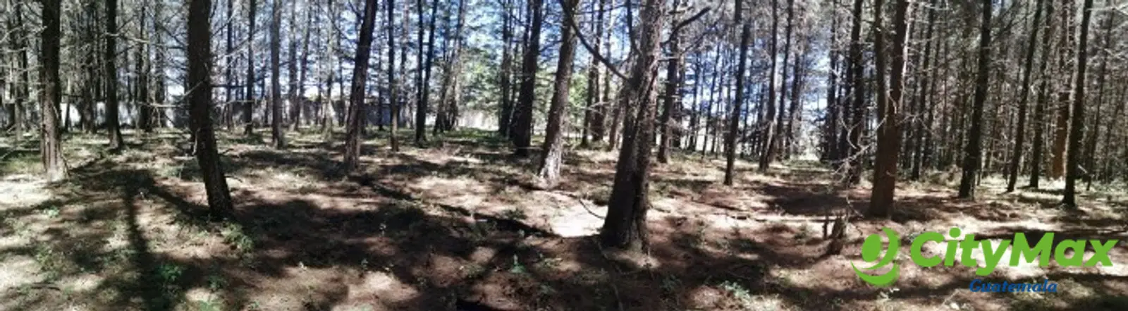ESPECIAL Terreno en venta CAES Premier Campestre km 22 - foto 9