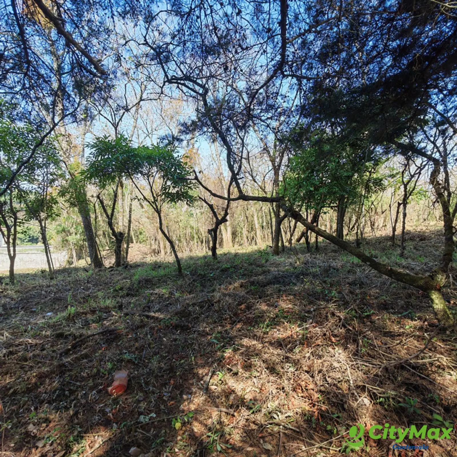 Terreno en Casa & Campo Carretera El Salvador en Venta - foto 6