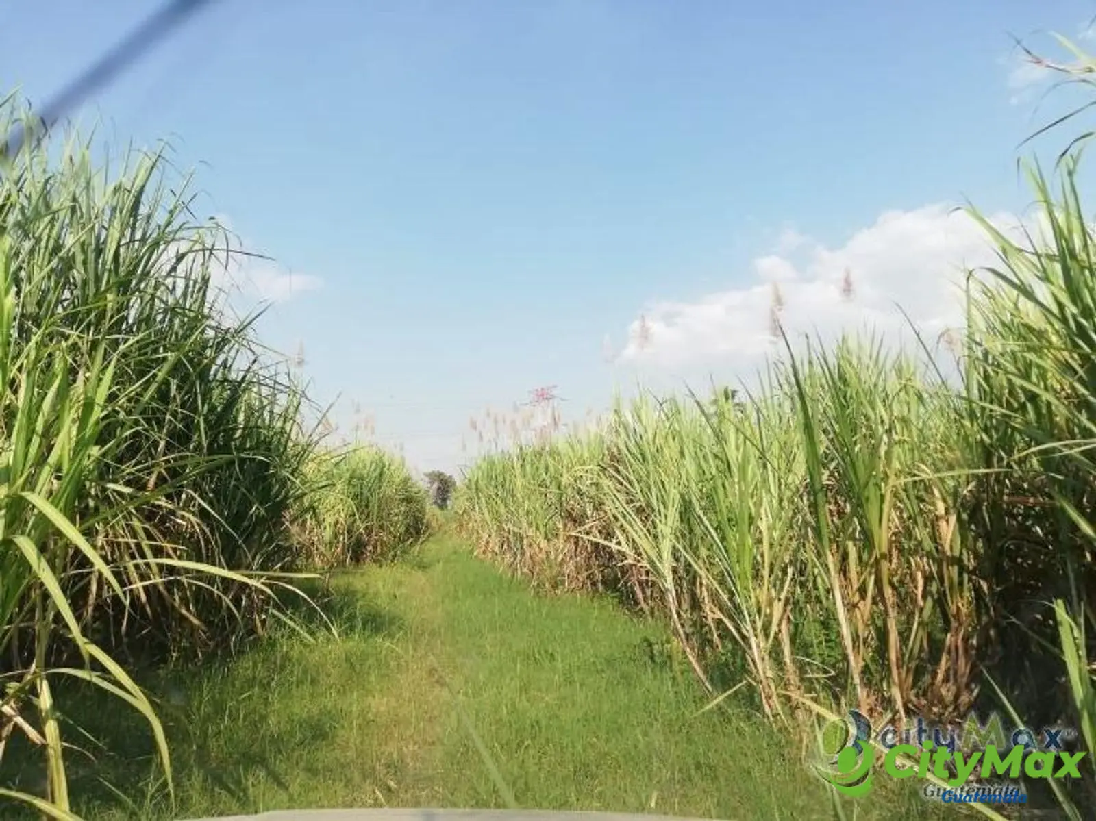 Finca en venta de 115,711.70 vrs. en Masagua, Escuintla - foto 7