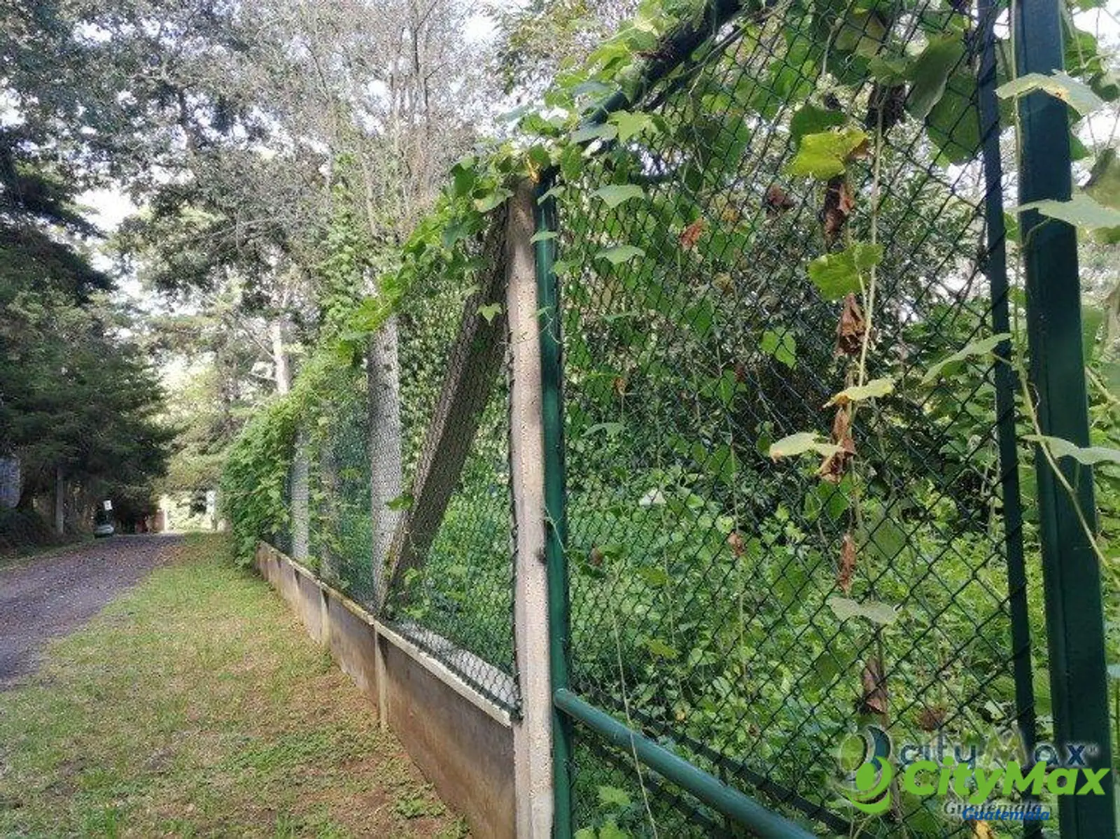 Terreno residencial en venta en Los Pinos Mixco zona 7 - foto 5