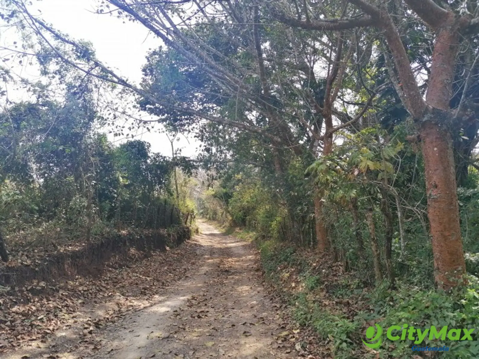 Vendo Terreno para desarrollo en Carretera El Salvador - foto 13