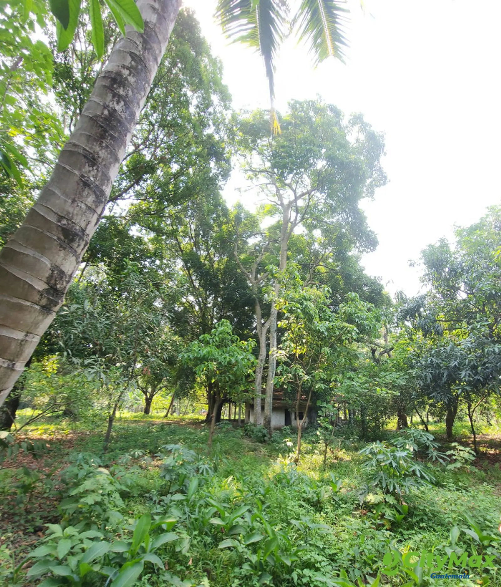 En Venta finca +40Mil Varas en el Km. 78 Ruta CA-2 - foto 13