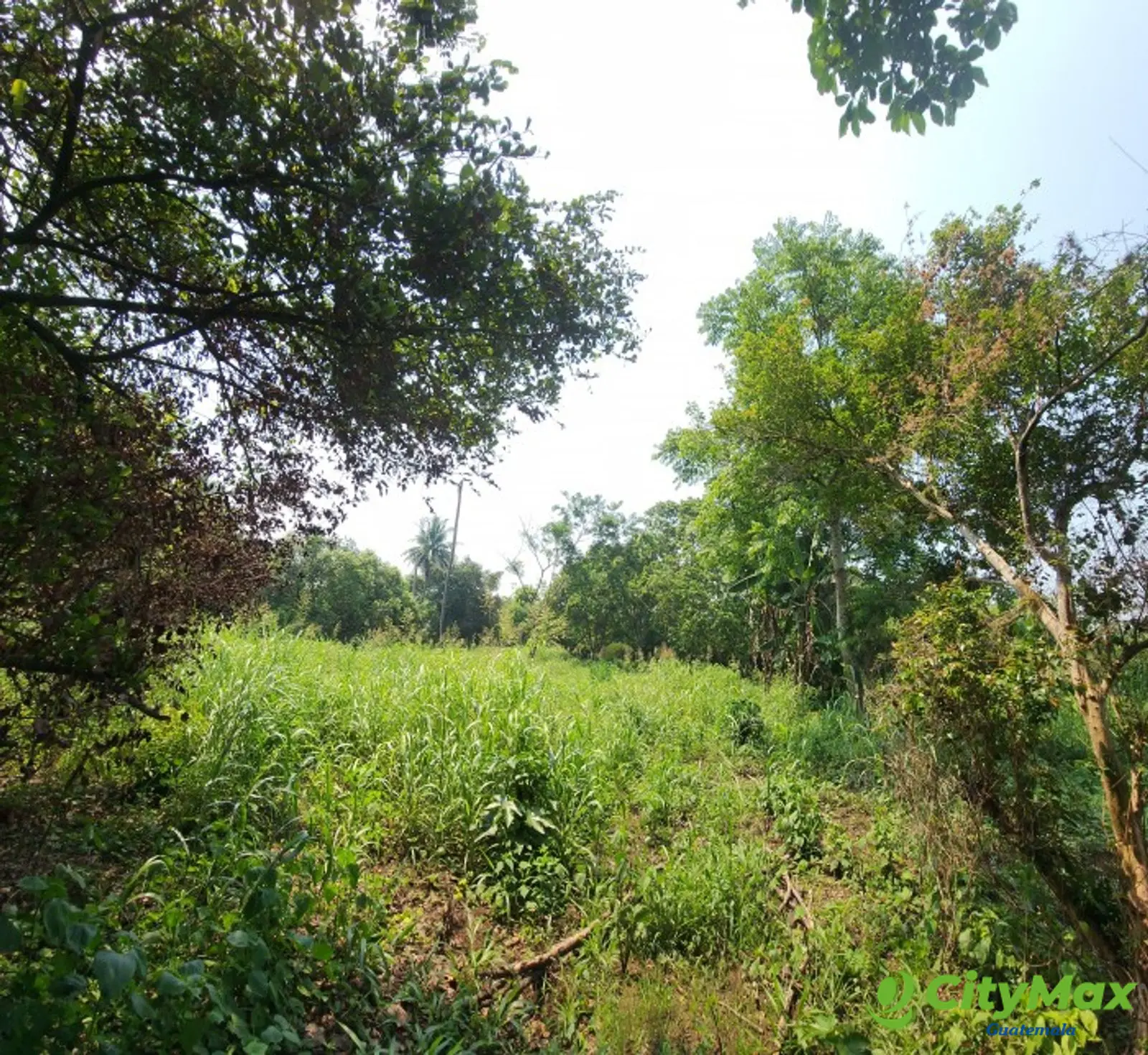 En Venta finca +40Mil Varas en el Km. 78 Ruta CA-2 - terrenos en escuintla