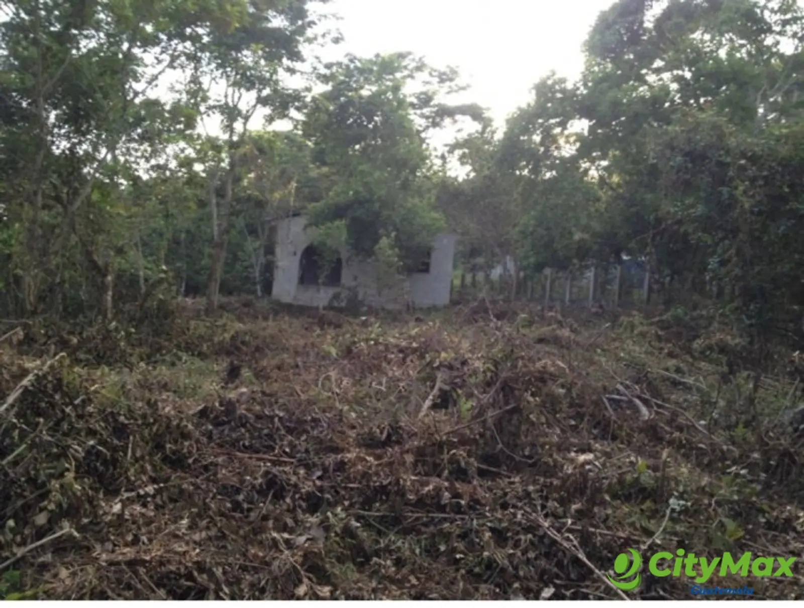 VENDO TERRENO EN SAN ANDRES PETEN - foto 2