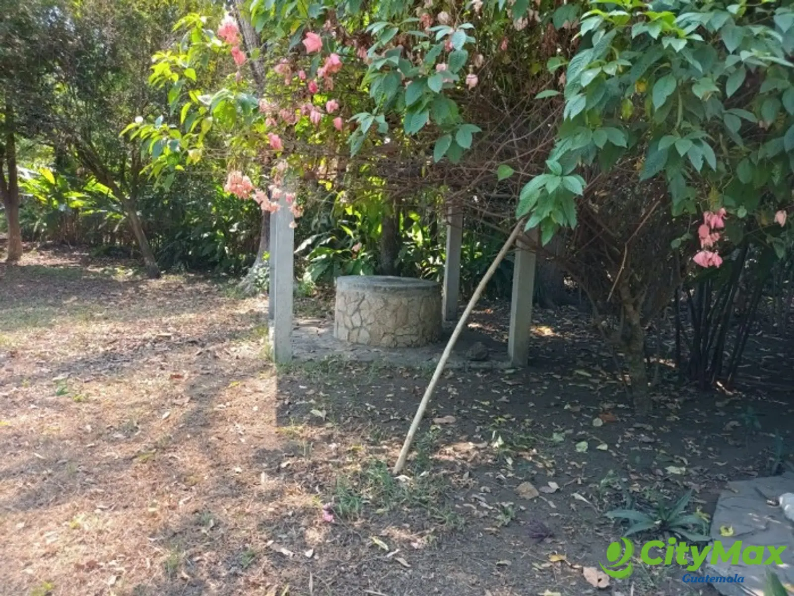 GRANJA EN RENTA PUERTO DE SAN JOSE ESCUINTLA - foto 8
