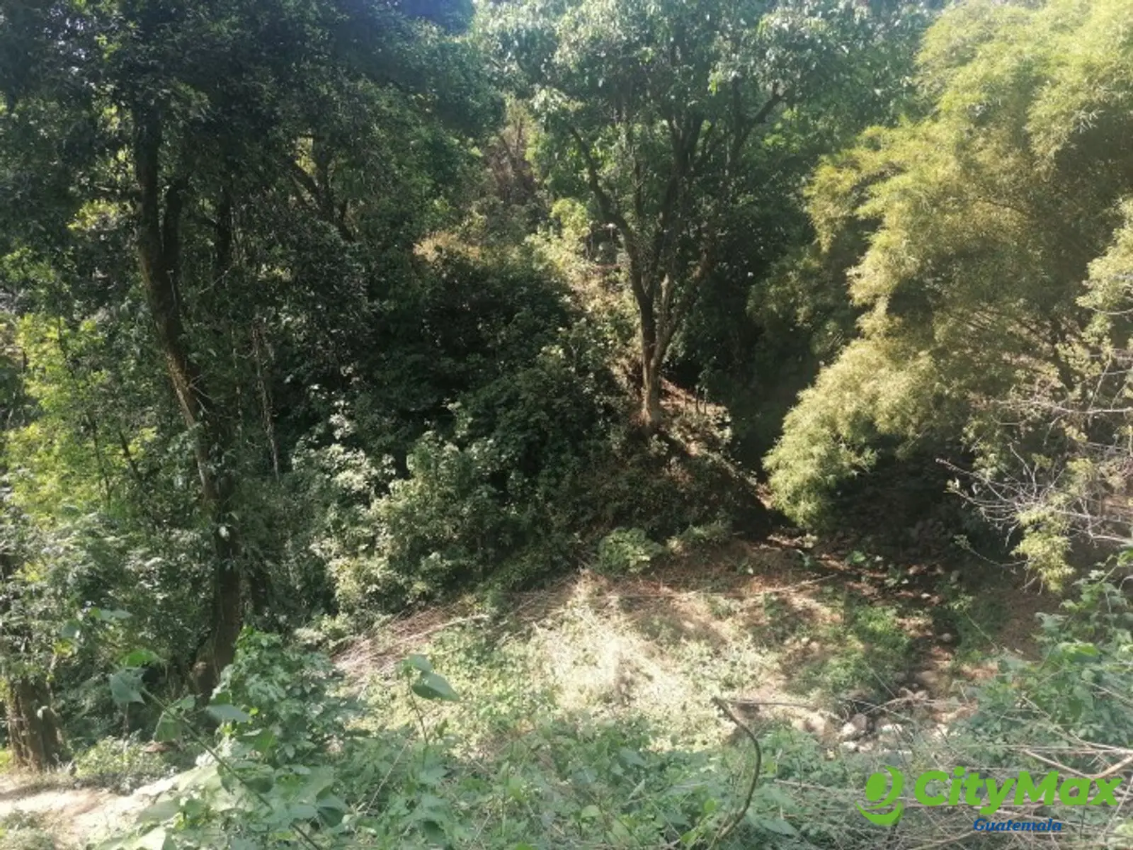 Vendo Terreno para desarrollo en Carretera El Salvador - foto 8