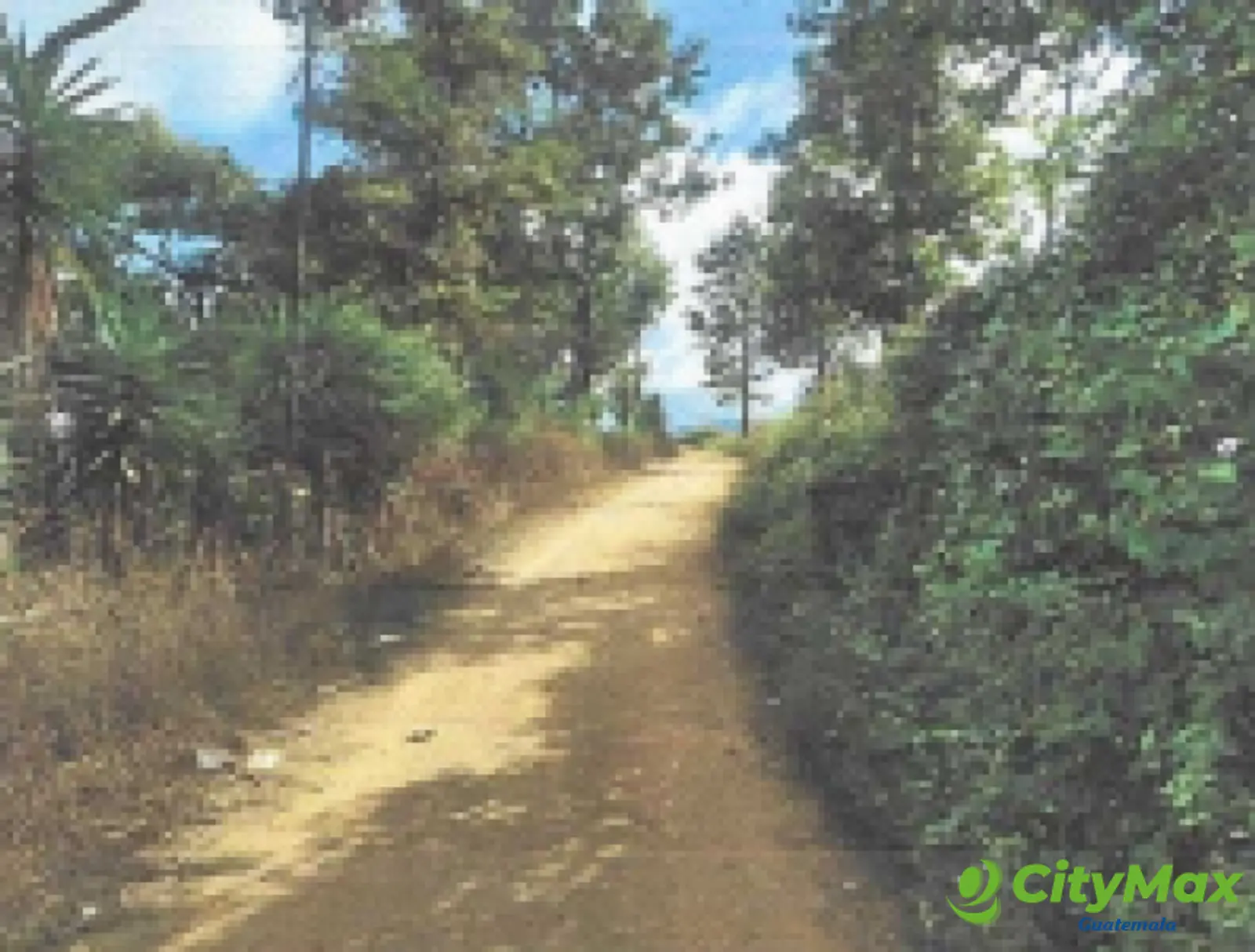 Terreno Comercial área San Pedro Ayampuc - foto 21