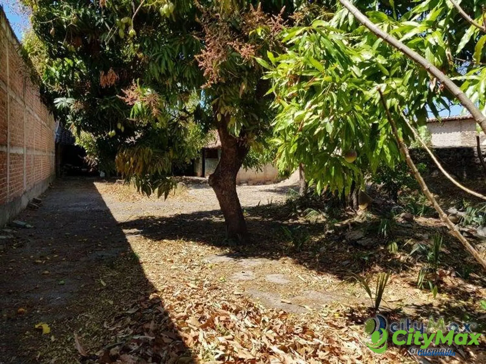 Terreno en Renta Para Inversion Asuncion Mita Jutiapa - foto 12