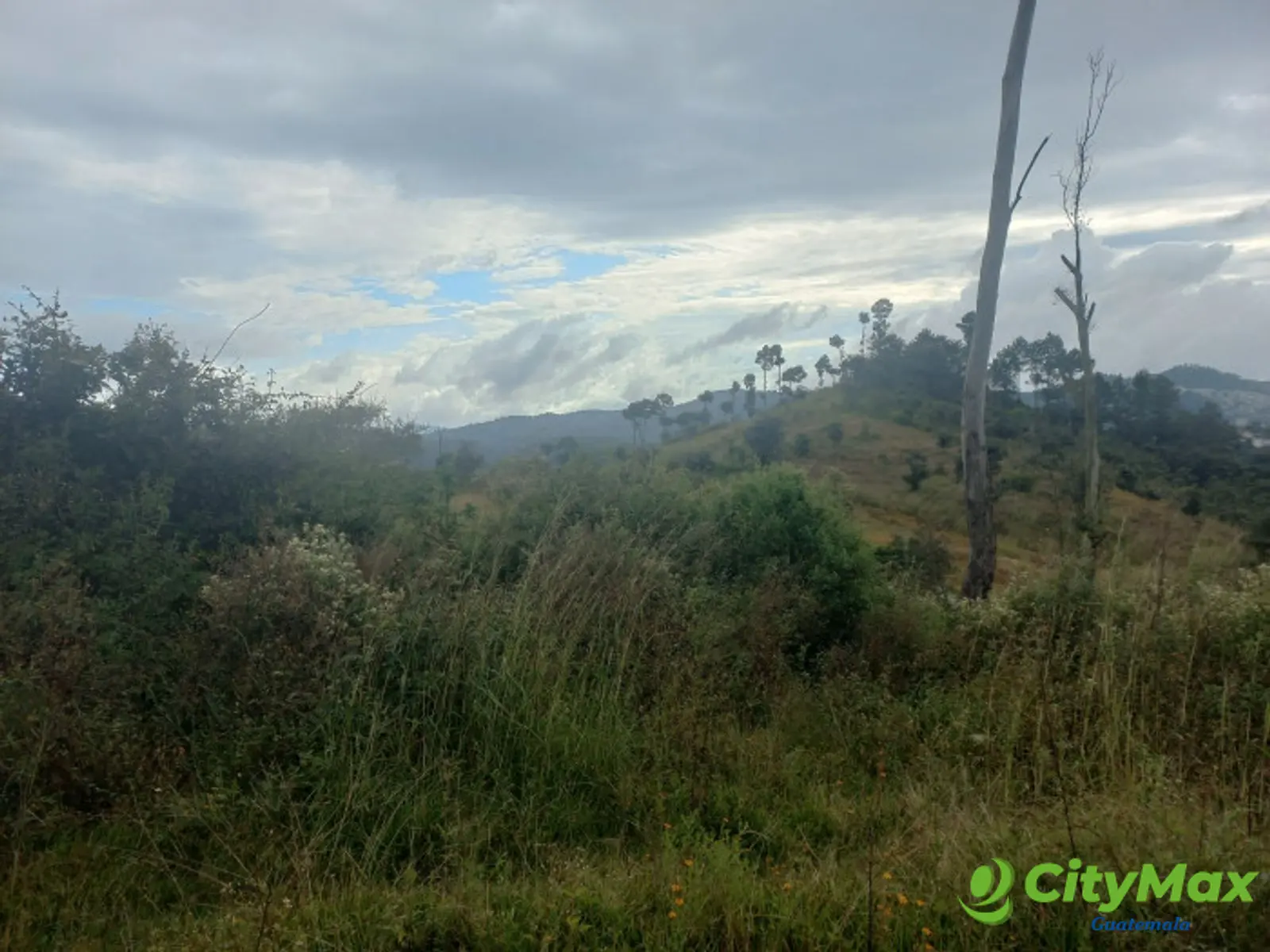 Terreno Comercial área San Pedro Ayampuc - foto 14
