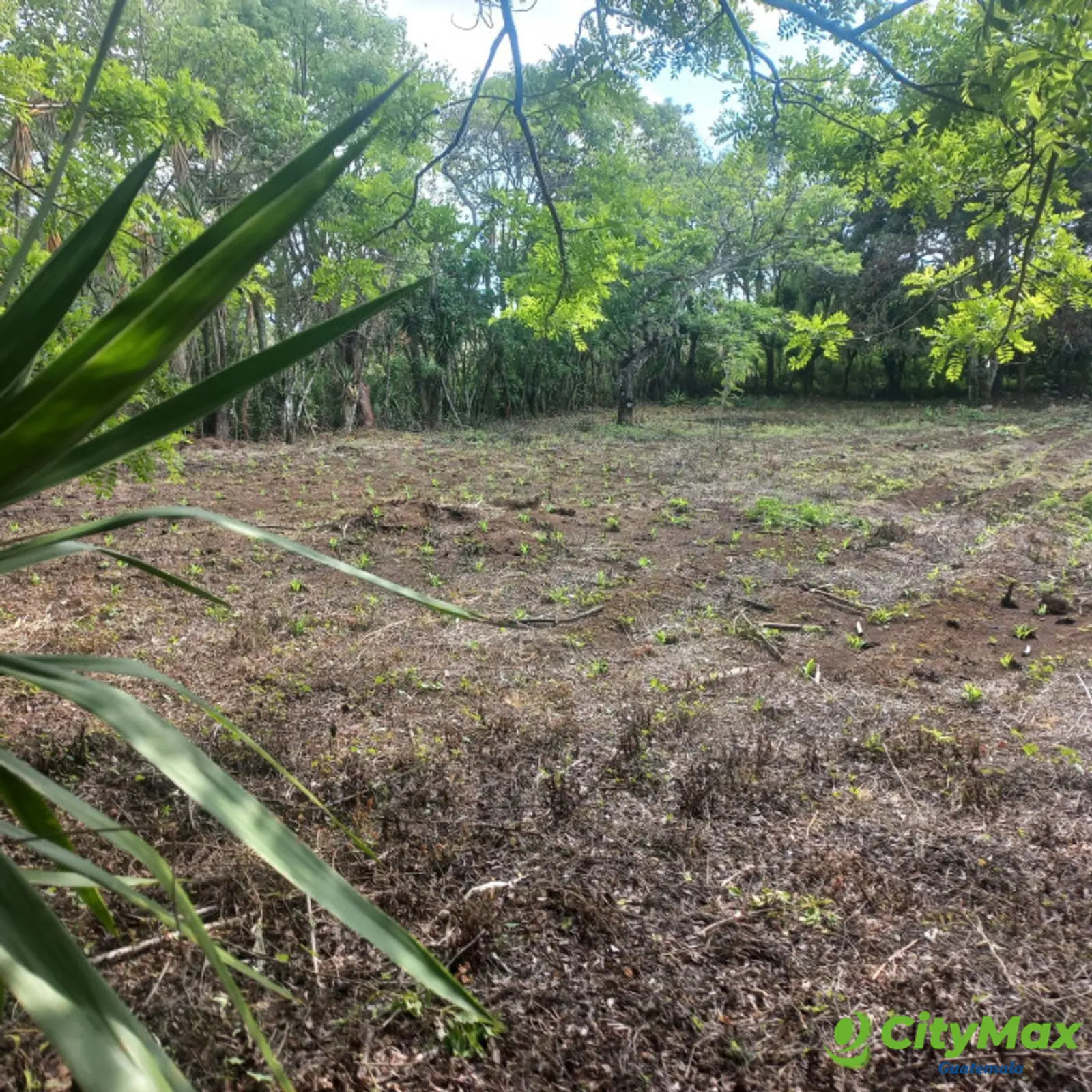 Terreno en venta Granjas Valle de Montebello/vas - foto 6