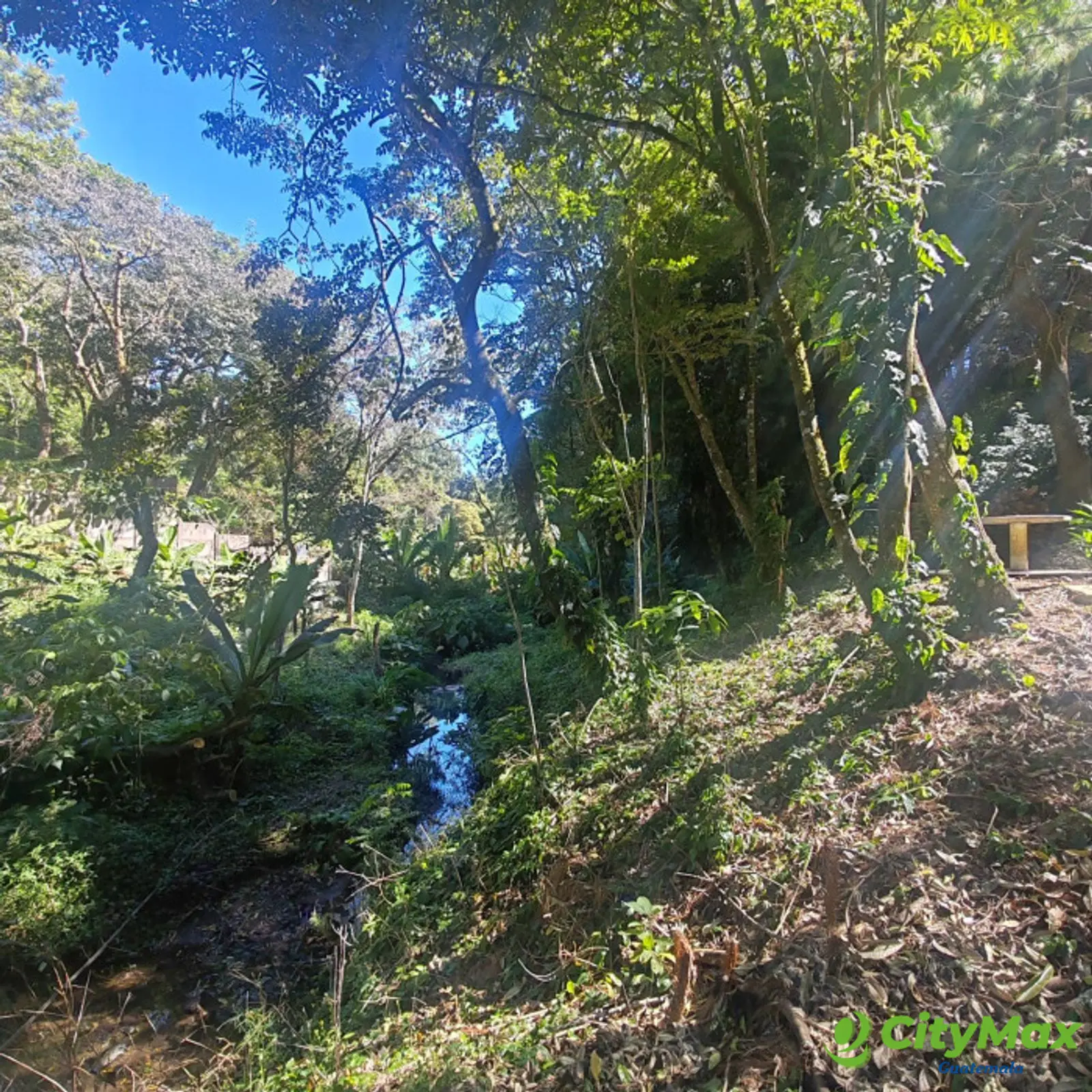 Finca en Venta de 9 manzanas en Fraijanes Guatemala - foto 8