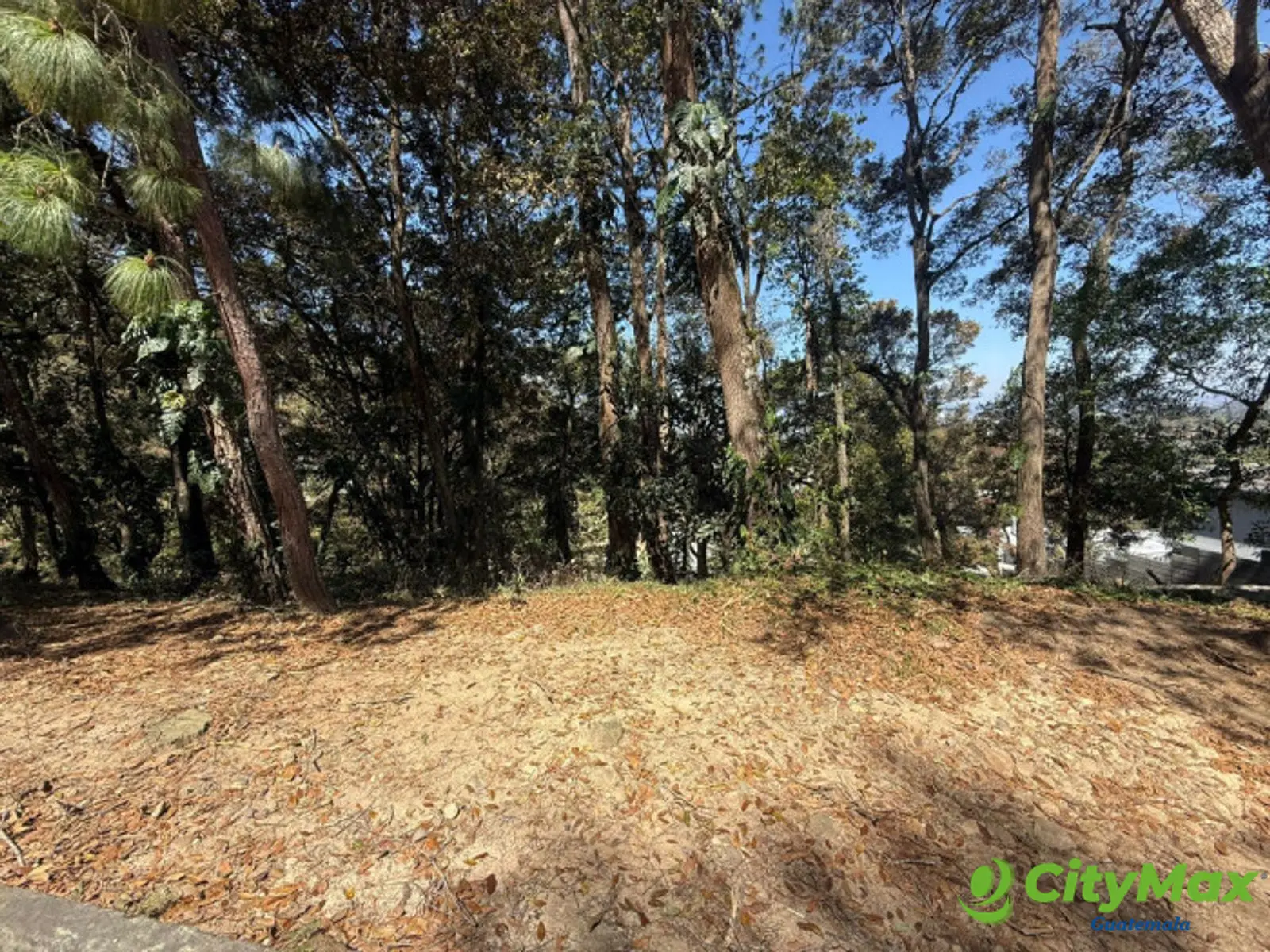 Terreno en Venta en Zona 16 Las Cumbres - foto 5