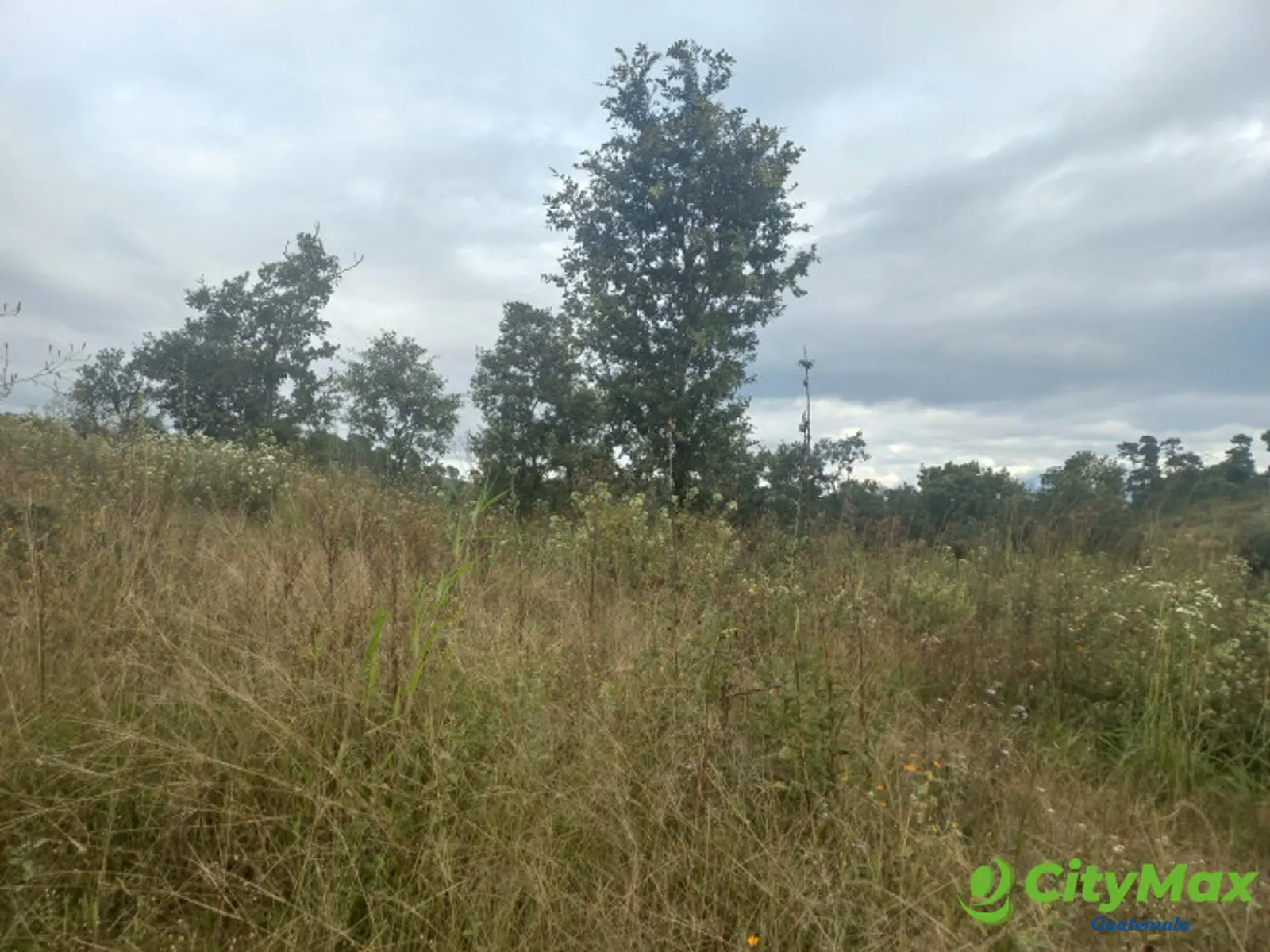 Terreno Comercial área San Pedro Ayampuc - foto 4
