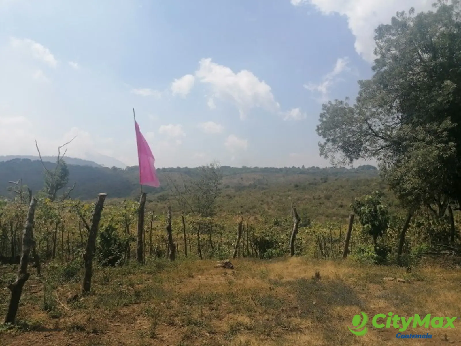 Vendo Terreno para desarrollo en Carretera El Salvador - foto 3
