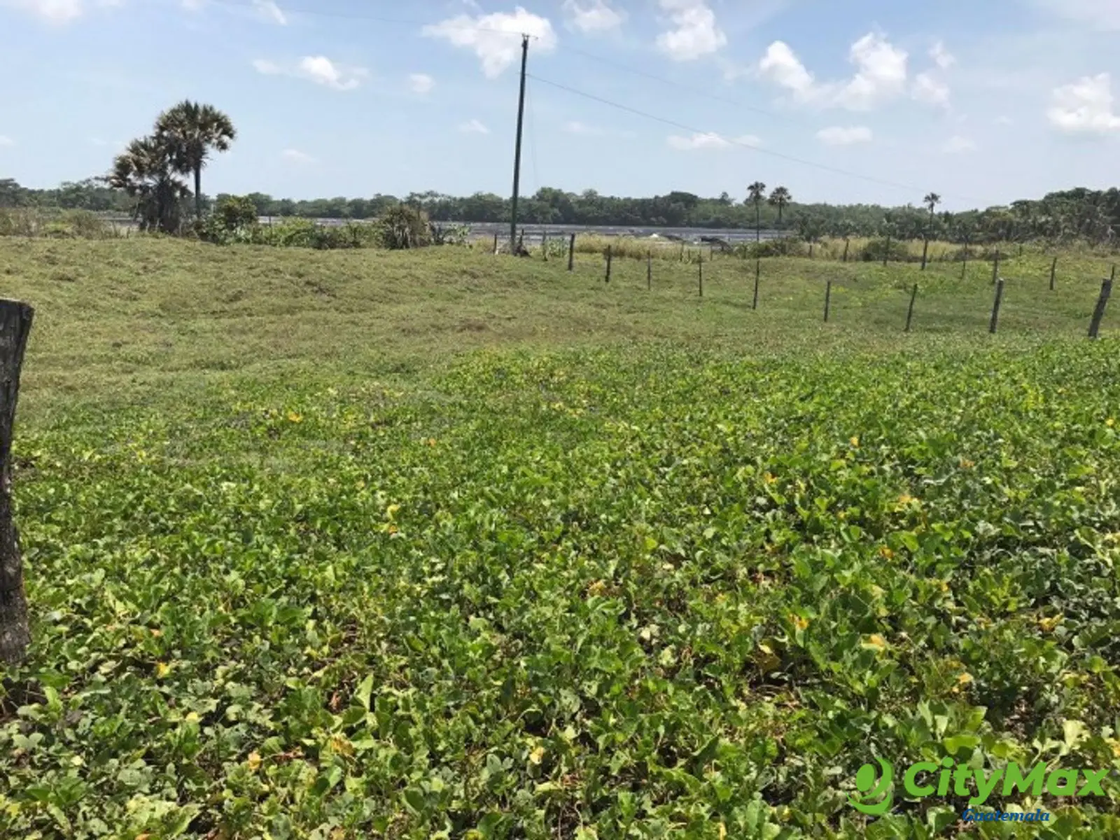 VENDO TERRENO VACACIONAL EN PLAYA RAMA BLANCA SIPACATE - foto 11