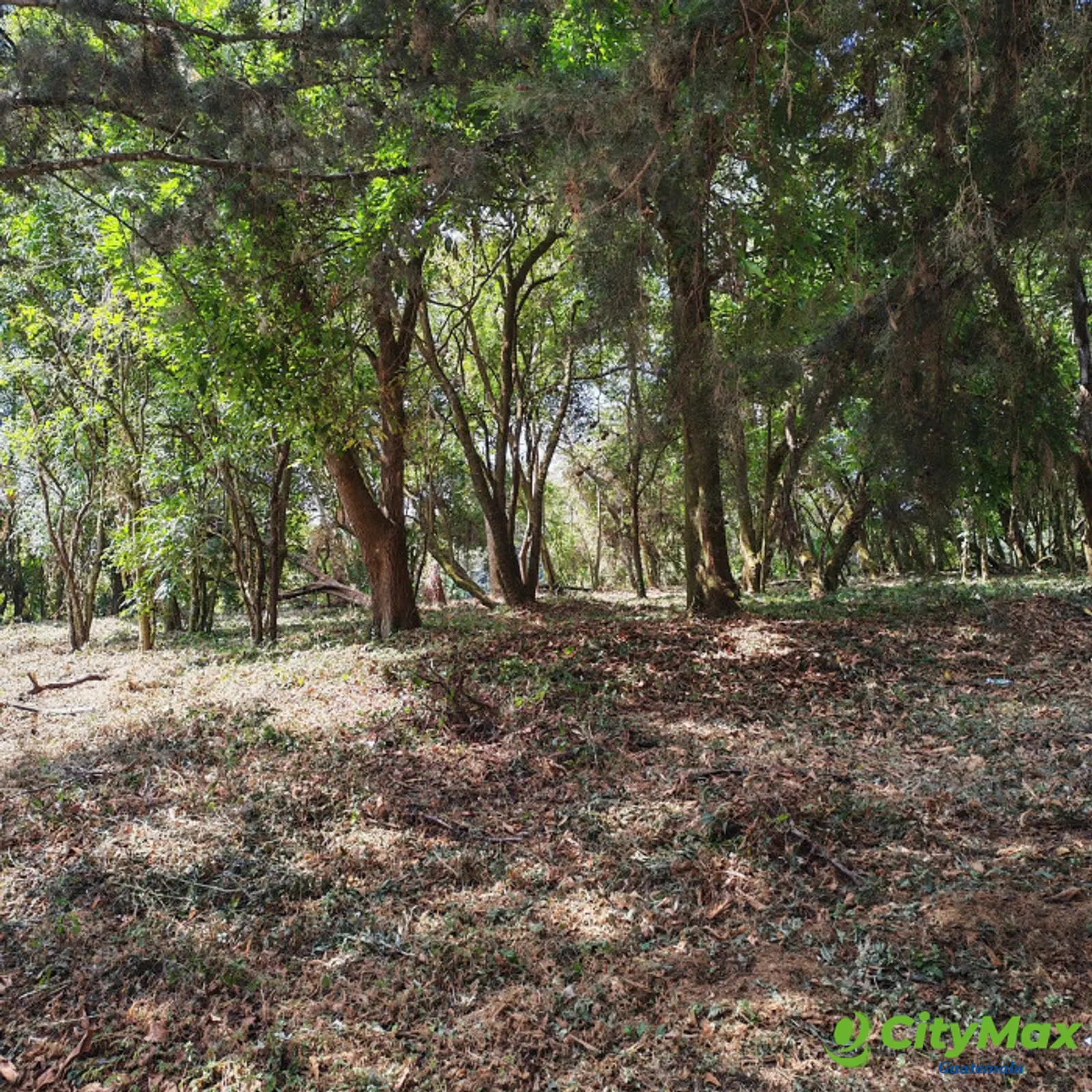 En Venta Terreno en Casa & Campo Guatemala - foto 12