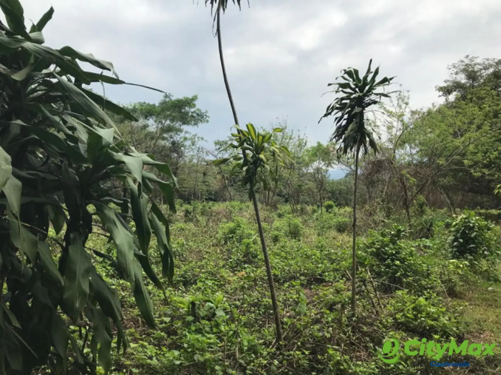 Terreno en Venta Campo Aventura Palin Escuintla - foto 11