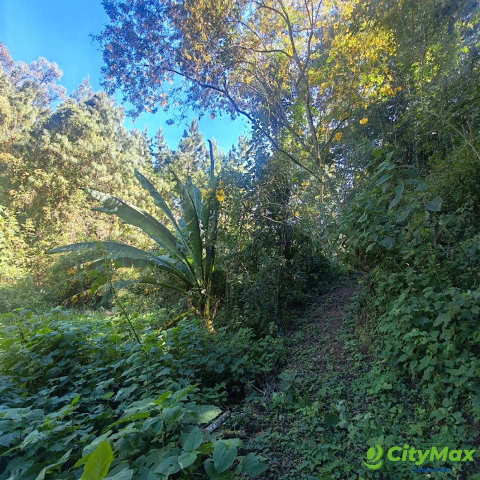 Finca en Venta de 9 manzanas en Fraijanes Guatemala - foto 15