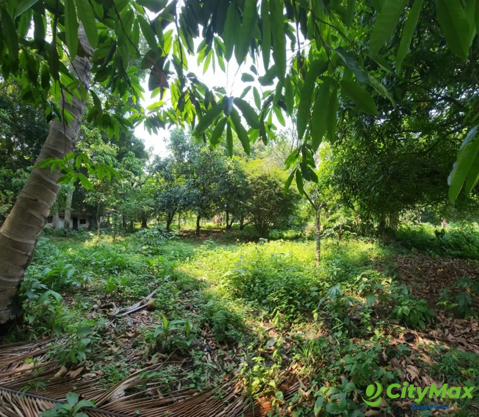 En Venta finca +40Mil Varas en el Km. 78 Ruta CA-2 - 4 Manzanas dee terreno