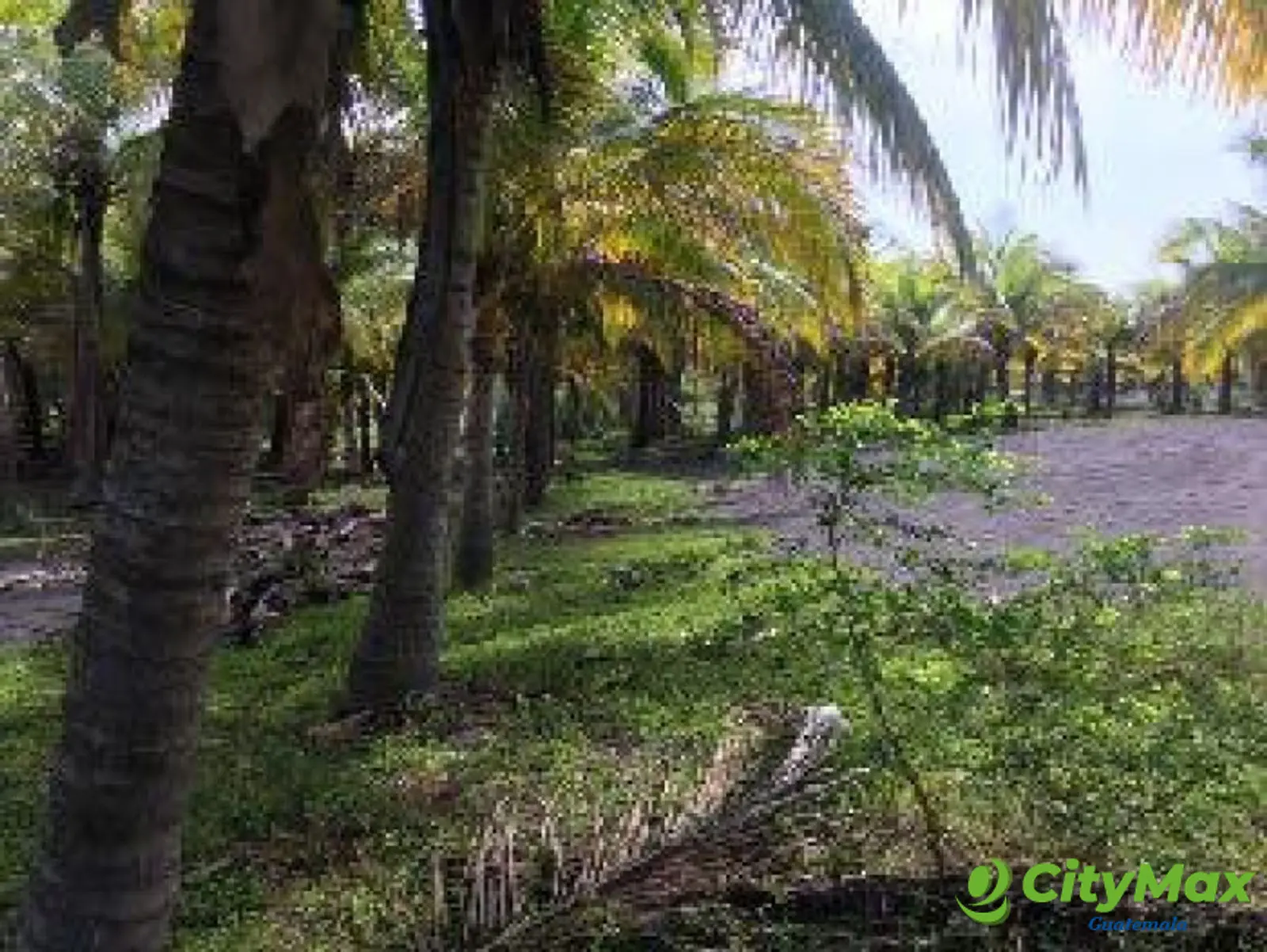 Terreno en Venta Cercano a Juan Gaviota Escuintla - foto 6