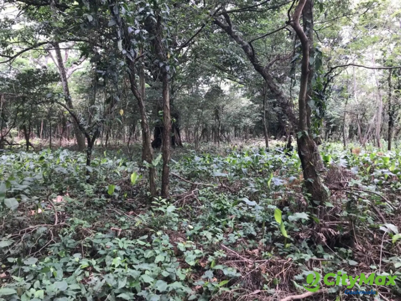 TERRENO EN VENTA CAMPO AVENTURA PALIN ESCUINTLA - foto 7