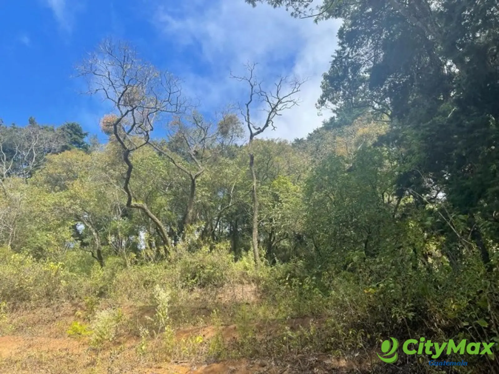 Terreno en Venta en Granja Buenos Aires - foto 6