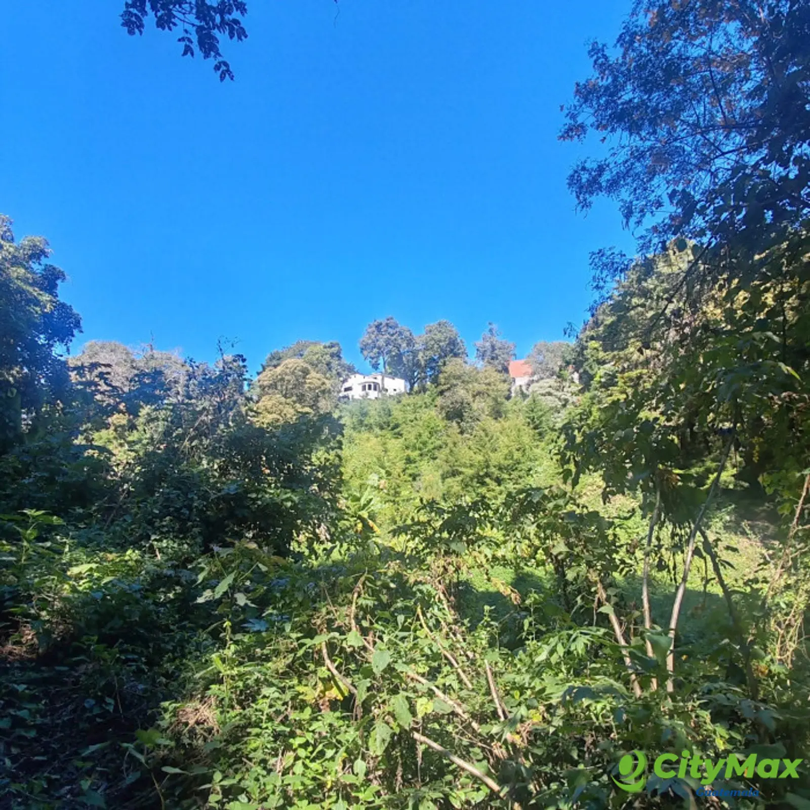 Finca en Venta de 9 manzanas en Fraijanes Guatemala - foto 4