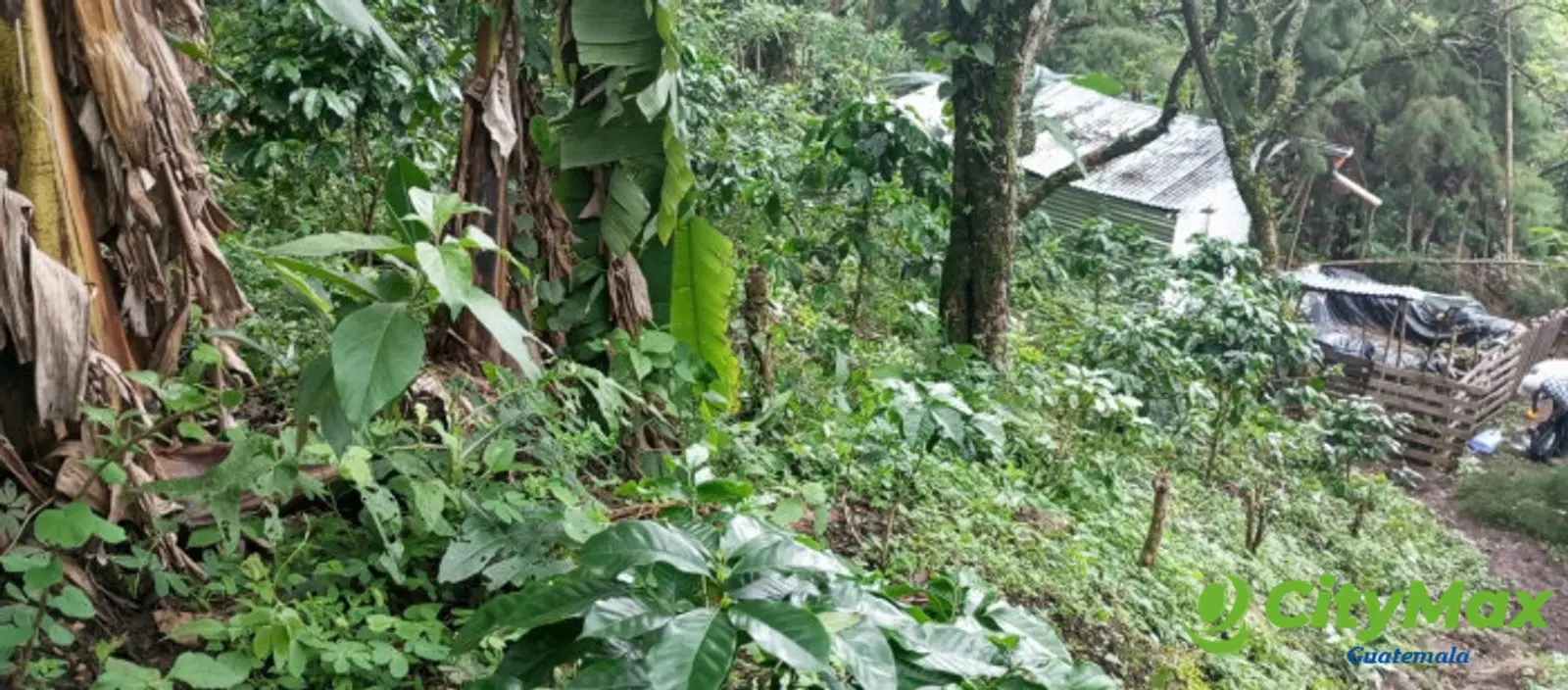 Terreno en venta para desarrollo comercial en Amatitlán - foto 6