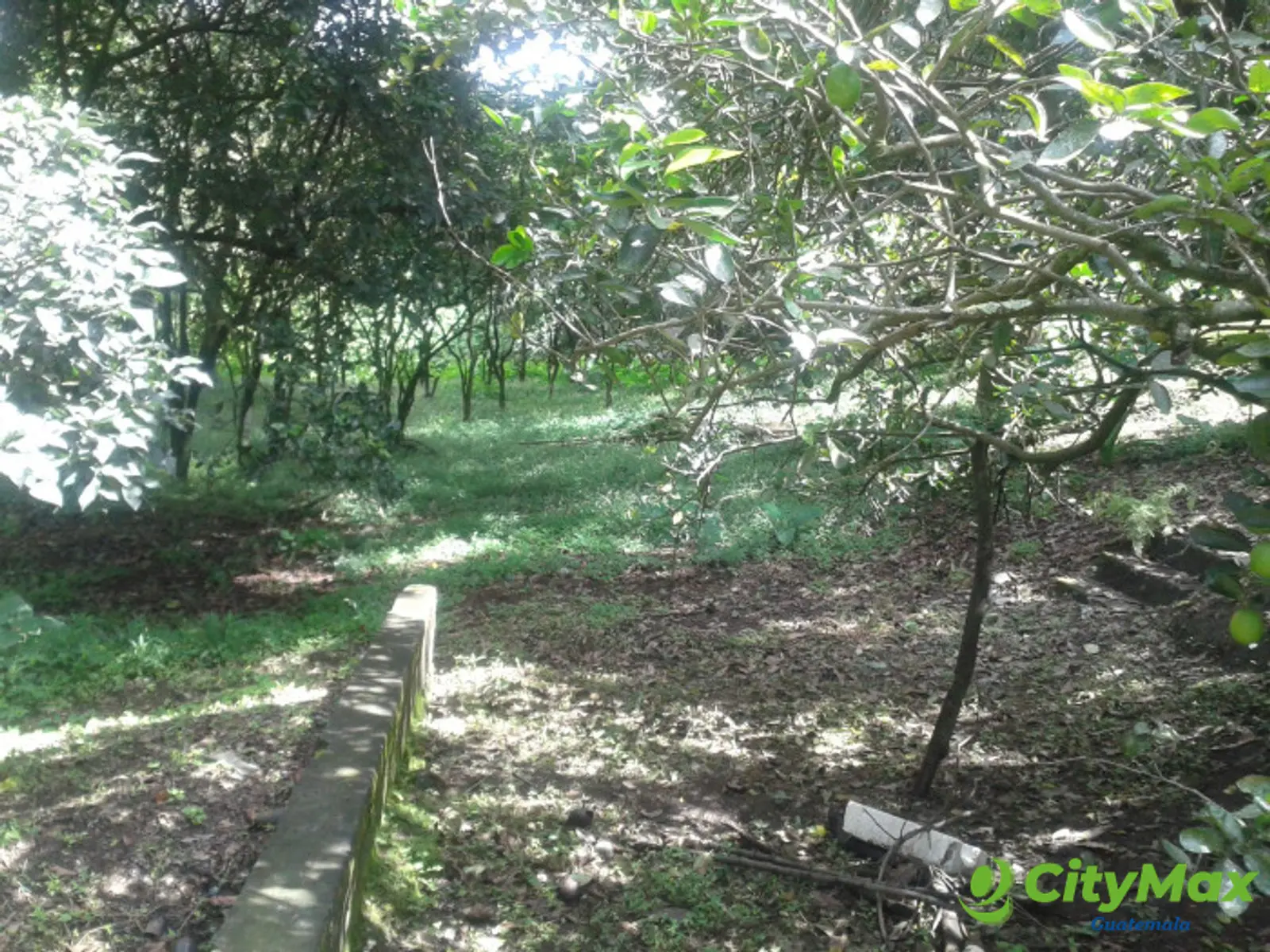 En venta terreno en zona 15 Colonia Trinidad - foto 13