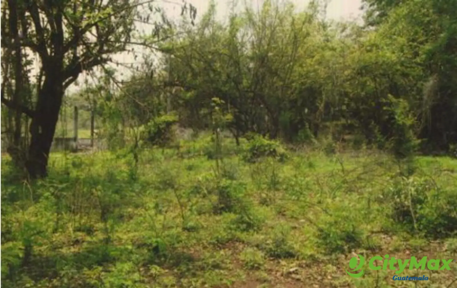 Terreno en venta Costa Linda Autopista Puerto Quetzal - foto 7
