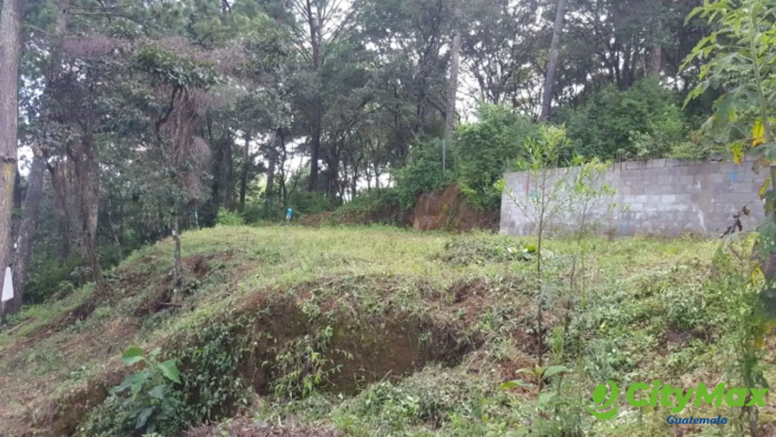Terreno en venta en el Encinal Tronco 2  - foto 3