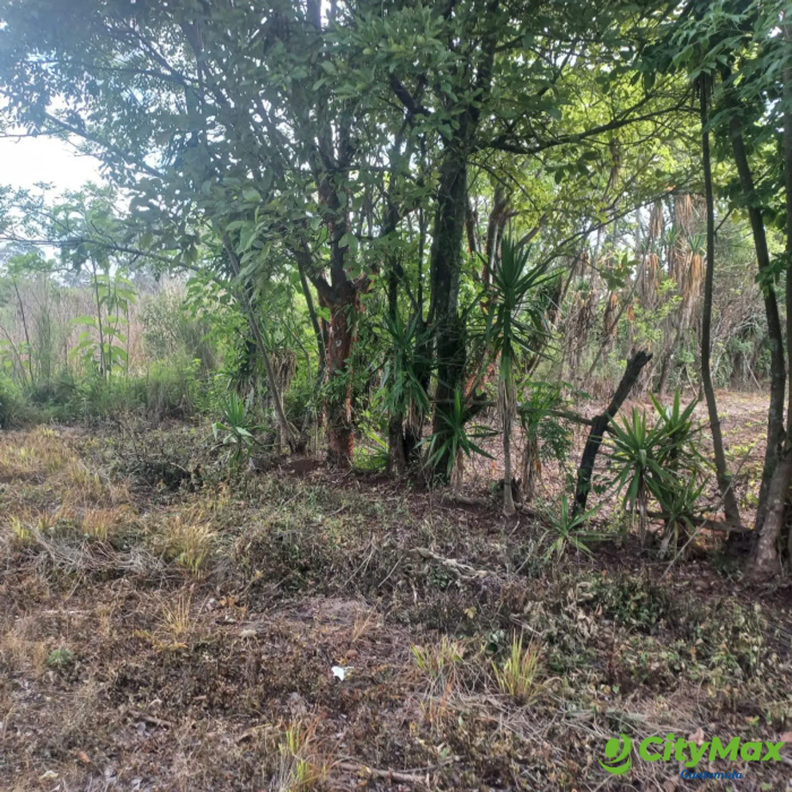 Terreno en venta Granjas Valle de Montebello/vas - foto 4