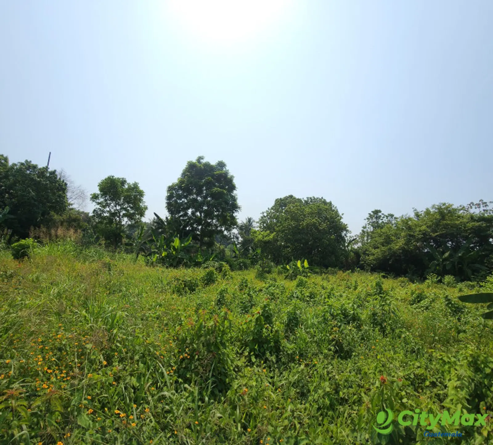 En Venta finca +40Mil Varas en el Km. 78 Ruta CA-2 - foto 18